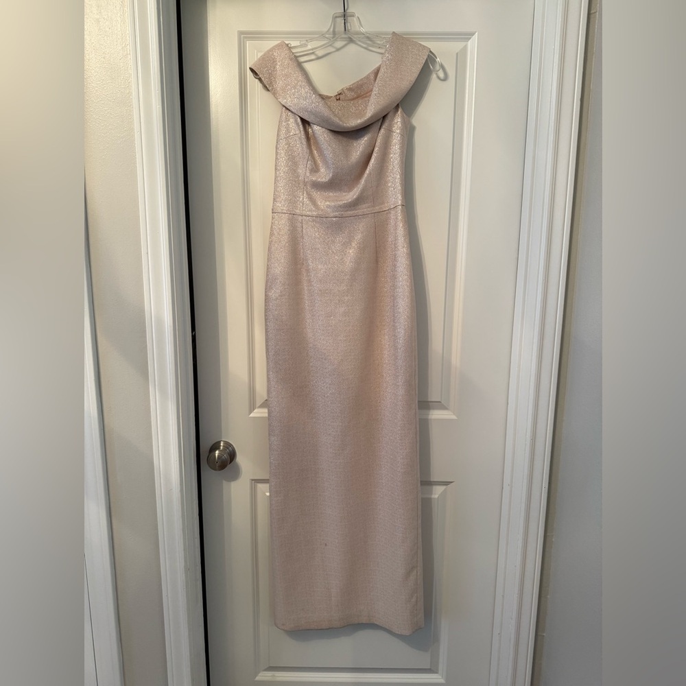 Shimmering Evening Gown